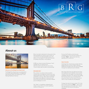 Sample Bridge Group Website Portfolio